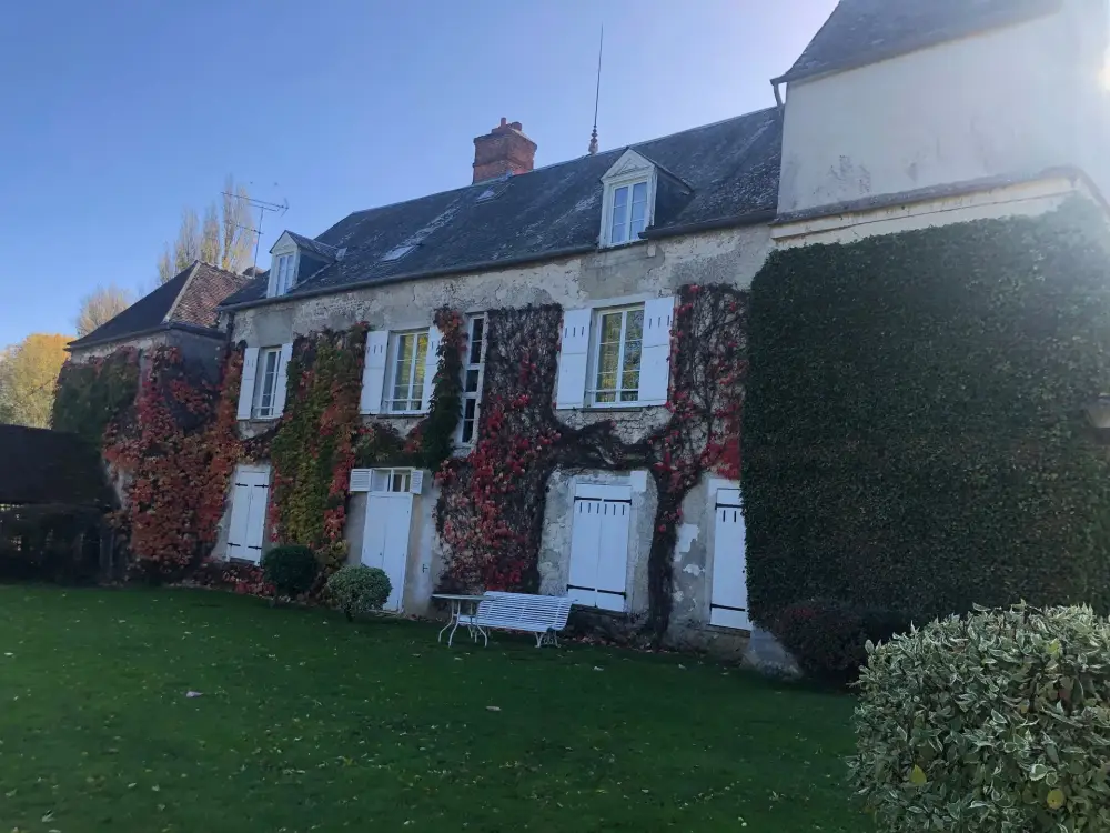 rénovation